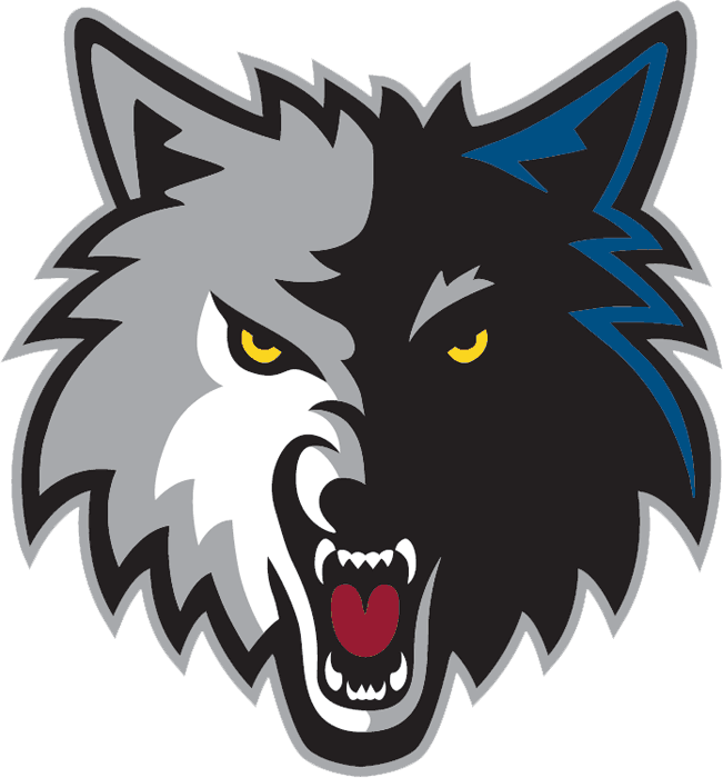 Minnesota Timberwolves 2008-2017 Alternate Logo DIY iron on transfer (heat transfer)
